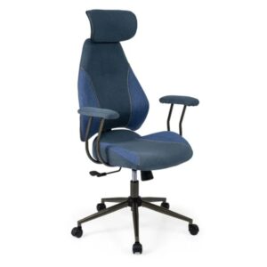 Blue Ergonomic Office Chair – Adjustable Headrest